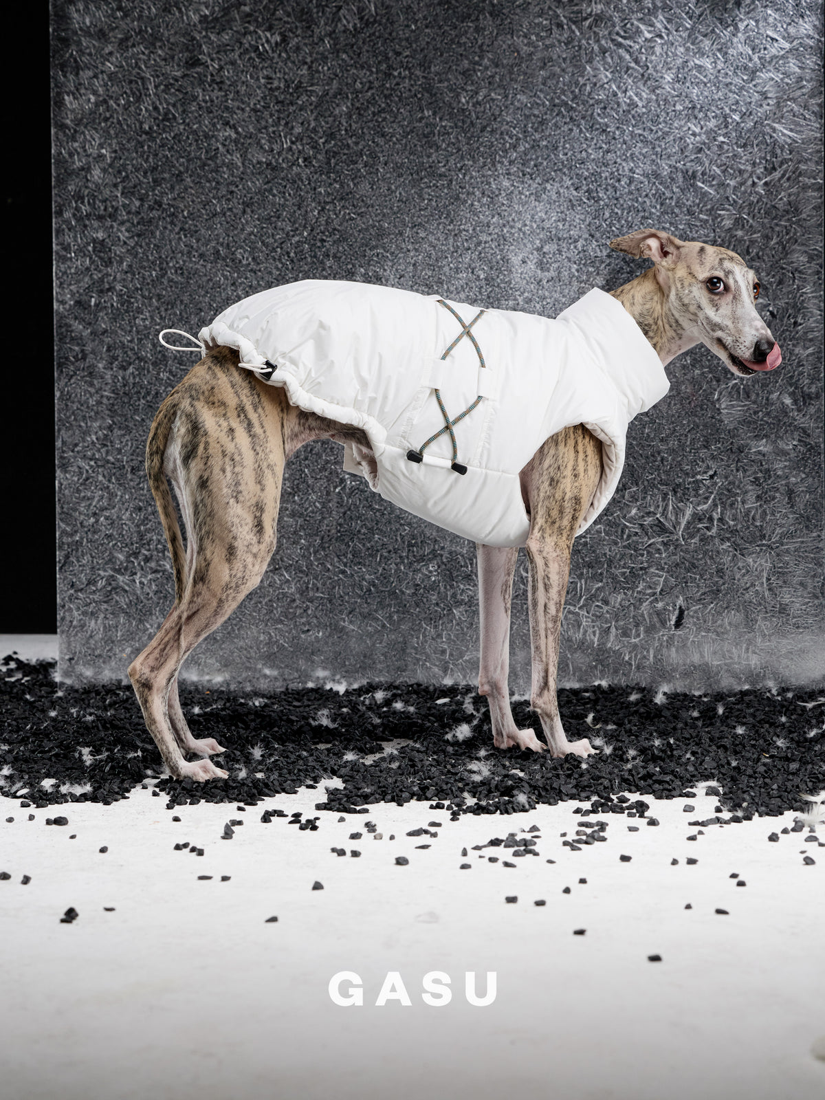 GASU Variété / [Cloud Sand] Waterproof Reversible Ultra-Light Padded Vest