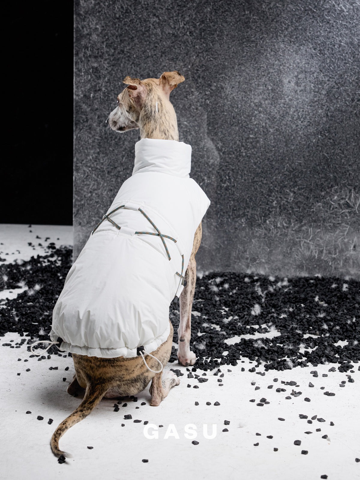 GASU Variété / [Cloud Sand] Waterproof Reversible Ultra-Light Padded Vest