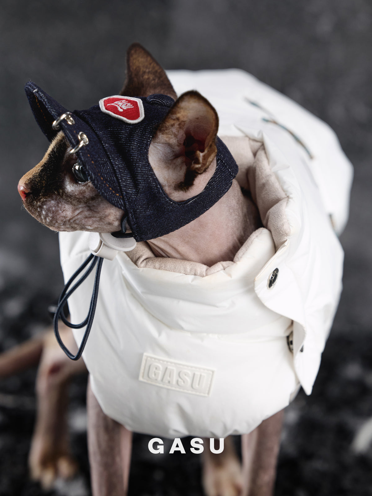 GASU Moi /  [Navy Demin] Pets & Human Vintage Demin Baseball Cap