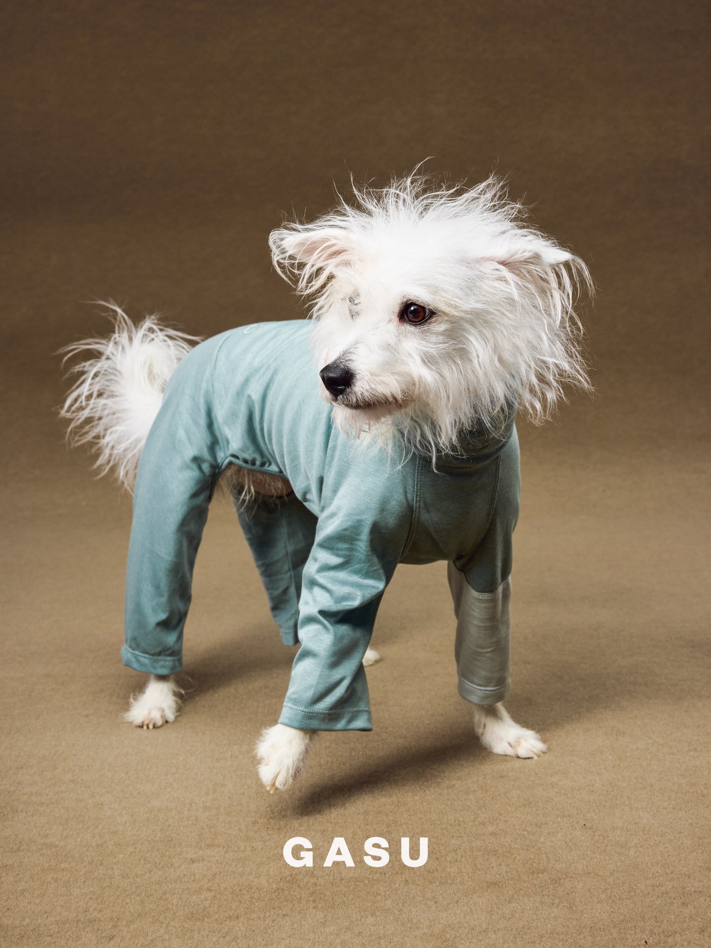 GASU Moi / [2 Colors] Imported Lyocell Breathable Light Soft Sleepwear