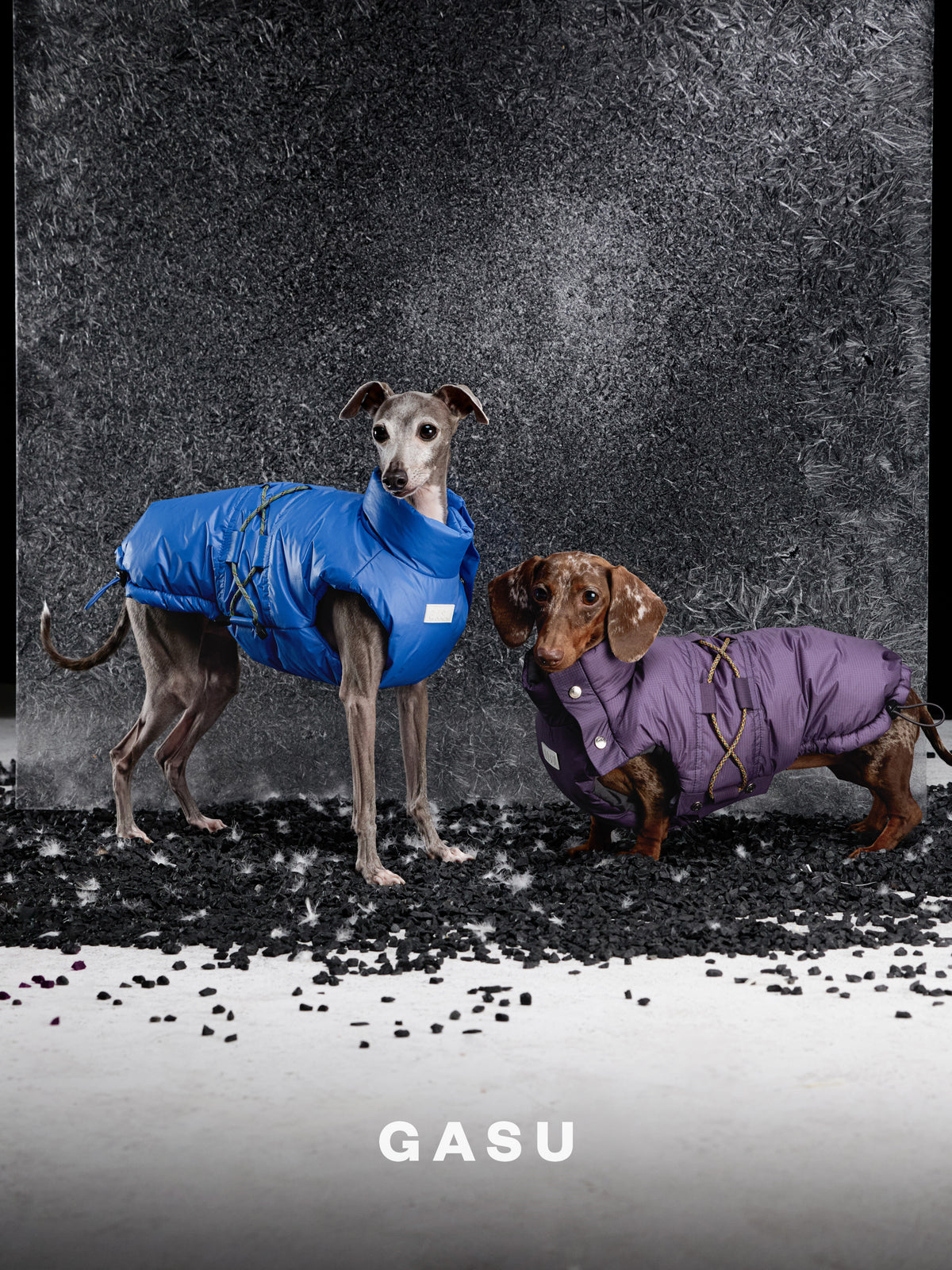 GASU Variété / [Neon Cobalt] Waterproof Reversible Ultra-Light Padded Vest