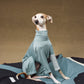 GASU Moi / [2 Colors] Imported Lyocell Breathable Light Soft Sleepwear
