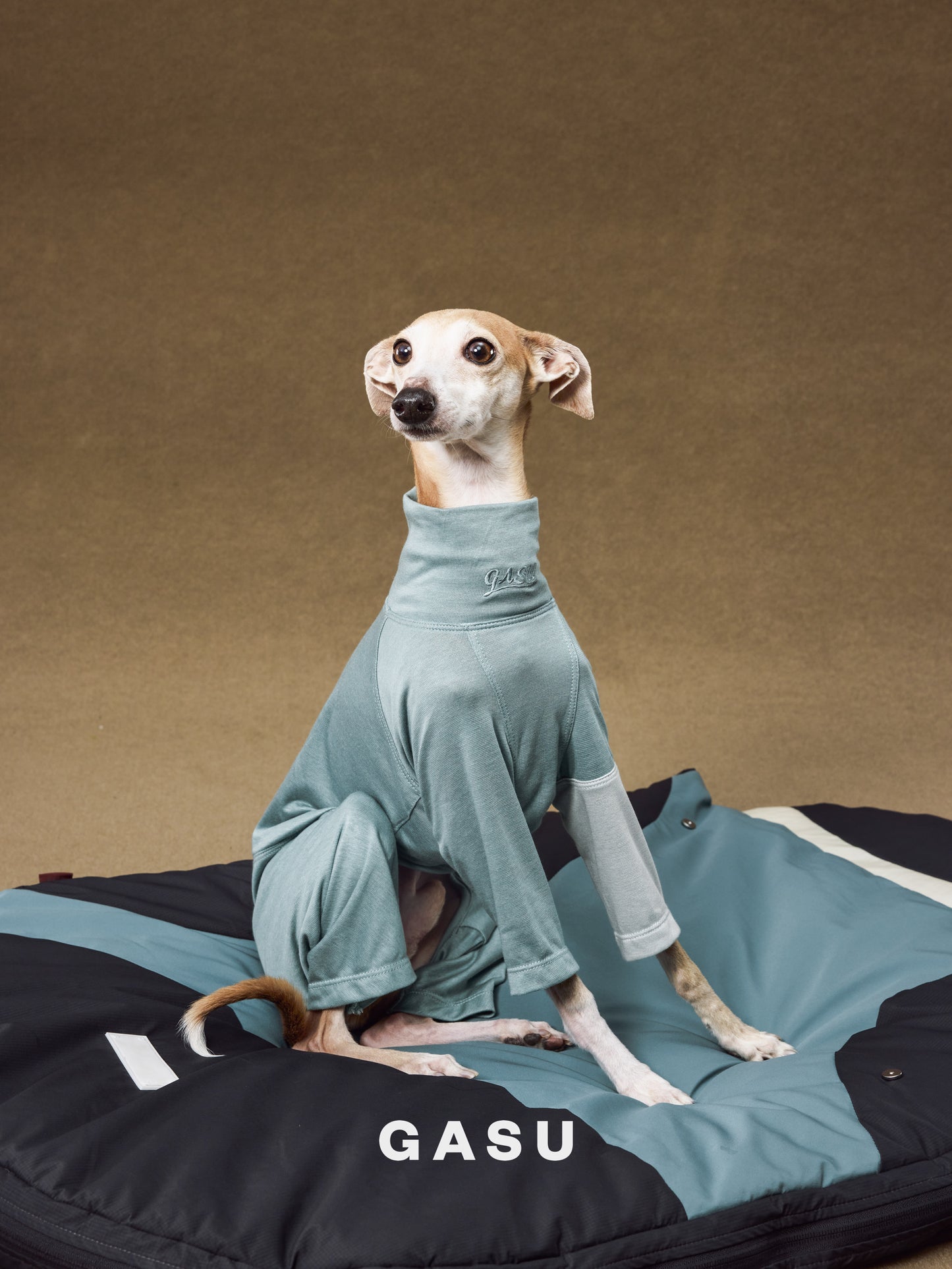 GASU Moi / [2 Colors] Imported Lyocell Breathable Light Soft Sleepwear