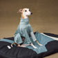 GASU Moi / [2 Colors] Imported Lyocell Breathable Light Soft Sleepwear