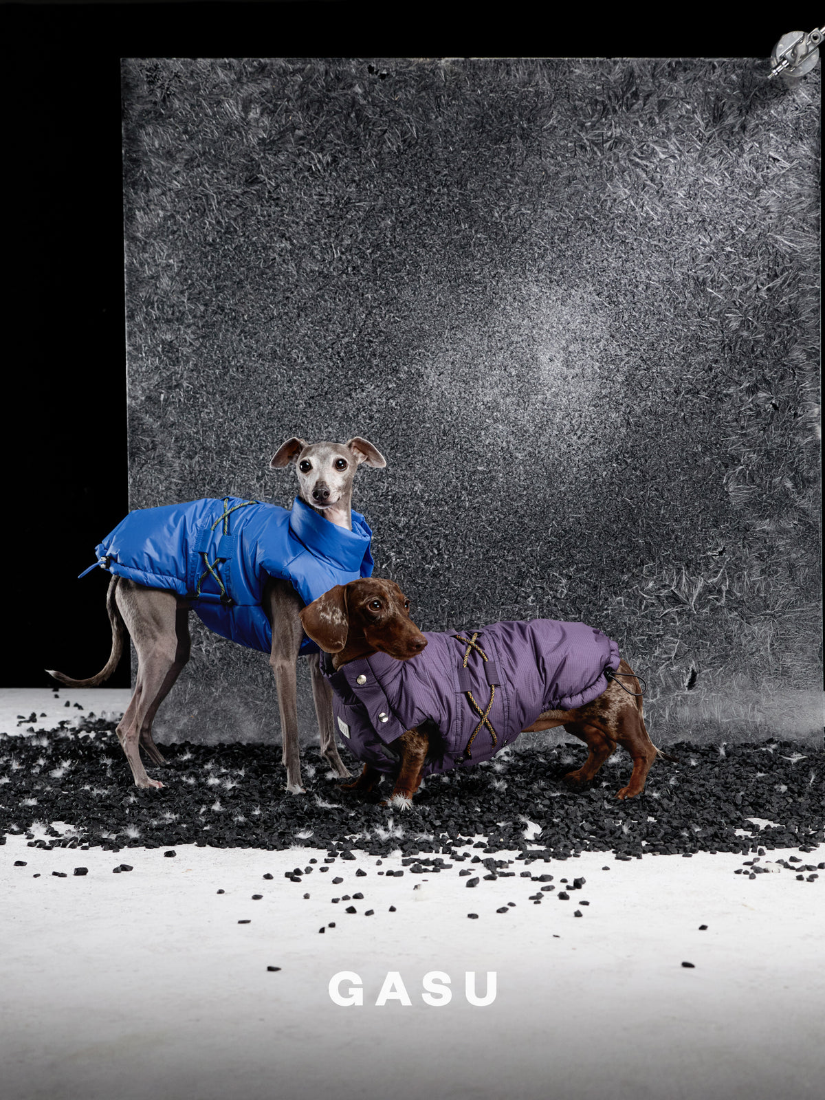 GASU Variété / [Midnight Plum] Waterproof Reversible Ultra-Light Padded Vest