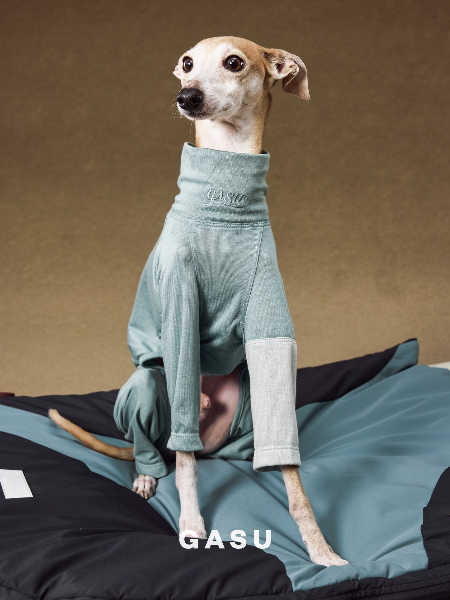 GASU Moi / [2 Colors] Imported Lyocell Breathable Light Soft Sleepwear