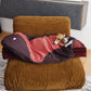 GASU Variété / [3 Colors] Sleeping Bag 3M Thinsulate™ Strong Waterproof Antistatic Ultra Puffy Lightweight