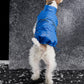 GASU Variété / [Neon Cobalt] Waterproof Reversible Ultra-Light Padded Vest