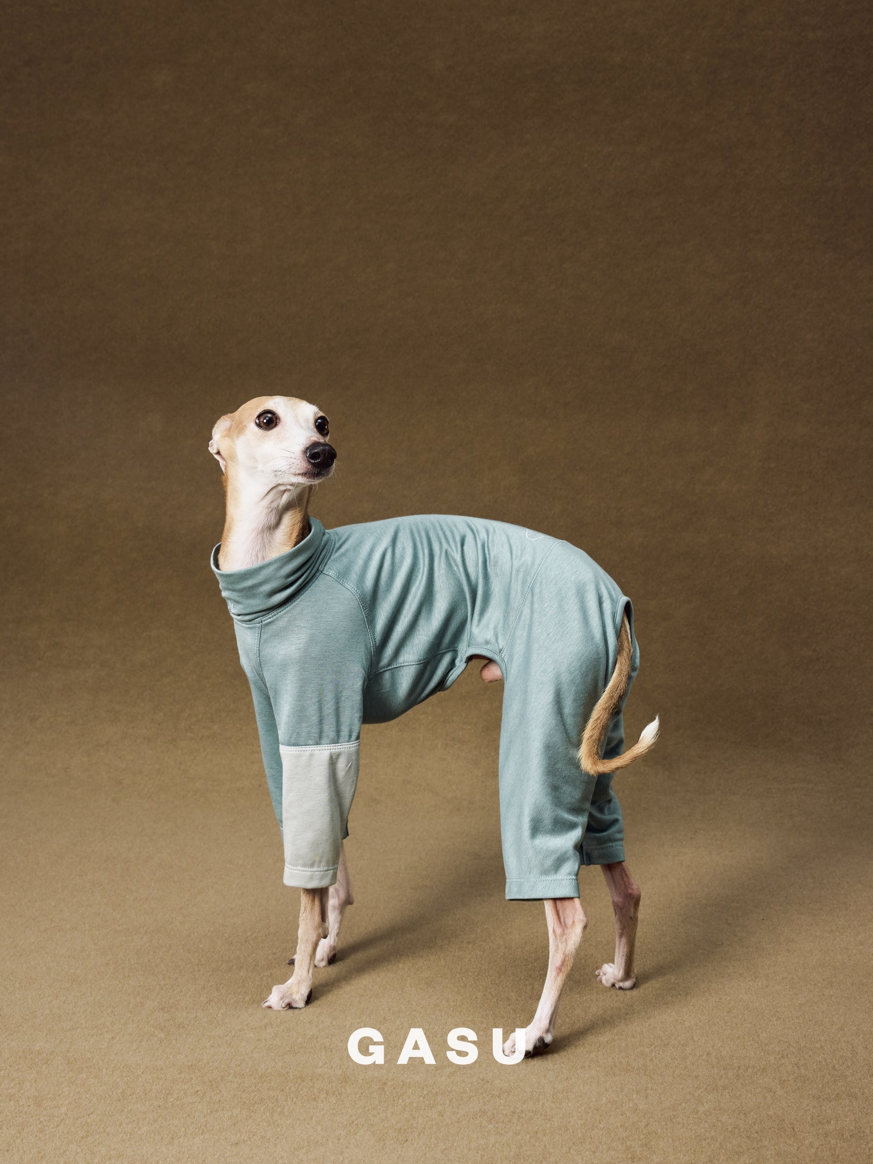 GASU Moi / [2 Colors] Imported Lyocell Breathable Light Soft Sleepwear