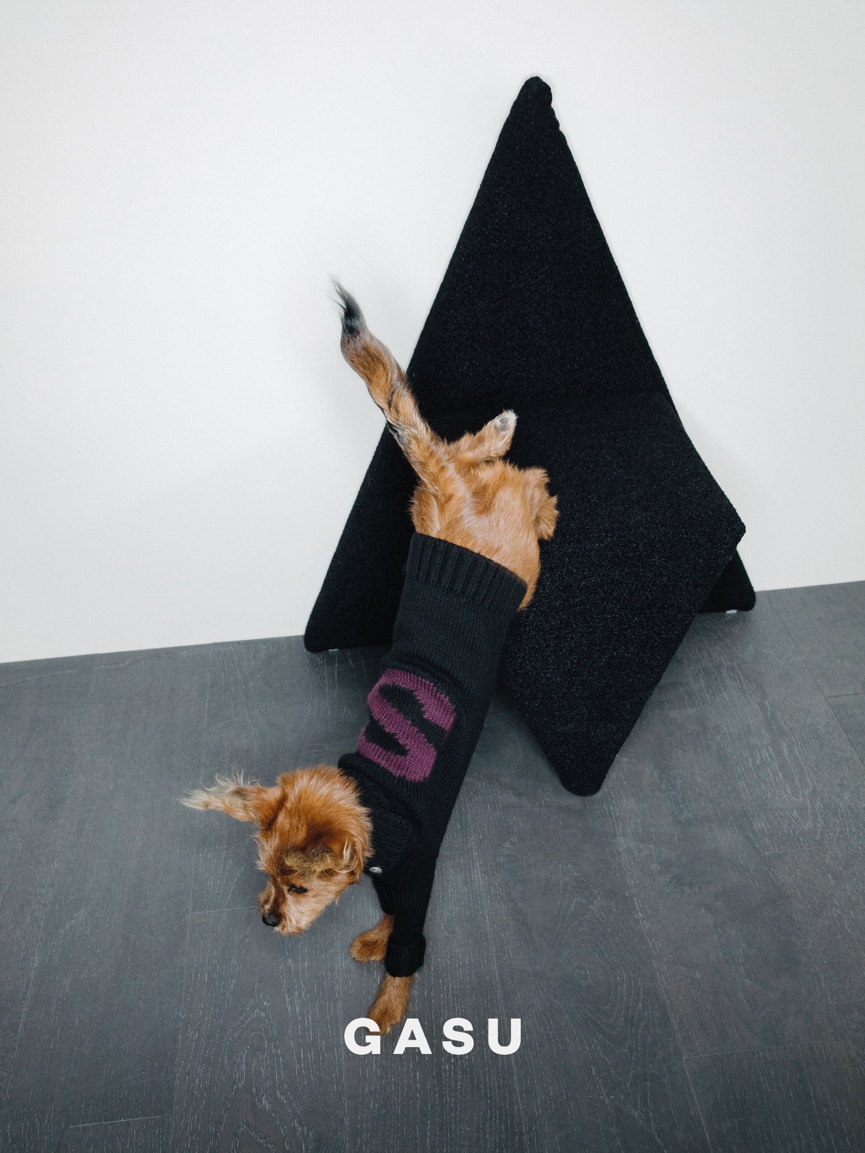GASU® Svelte / [4 Colors] Vintage Letter Iggy 2-Legged Wool Sweater