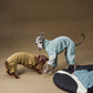 GASU Moi / [2 Colors] Imported Lyocell Breathable Light Soft Sleepwear