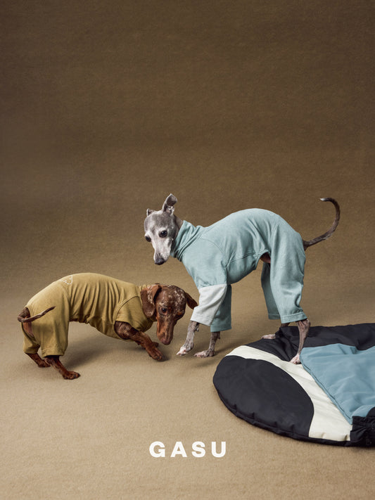 GASU Moi / [2 Colors] Imported Lyocell Breathable Light Soft Sleepwear