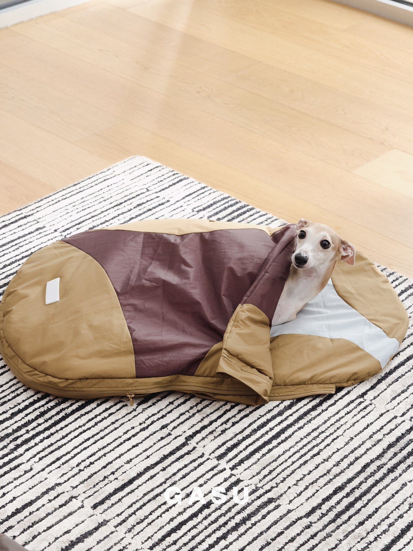 GASU Variété / [3 Colors] Sleeping Bag 3M Thinsulate™ Strong Waterproof Antistatic Ultra Puffy Lightweight