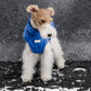 GASU Variété / [Neon Cobalt] Waterproof Reversible Ultra-Light Padded Vest