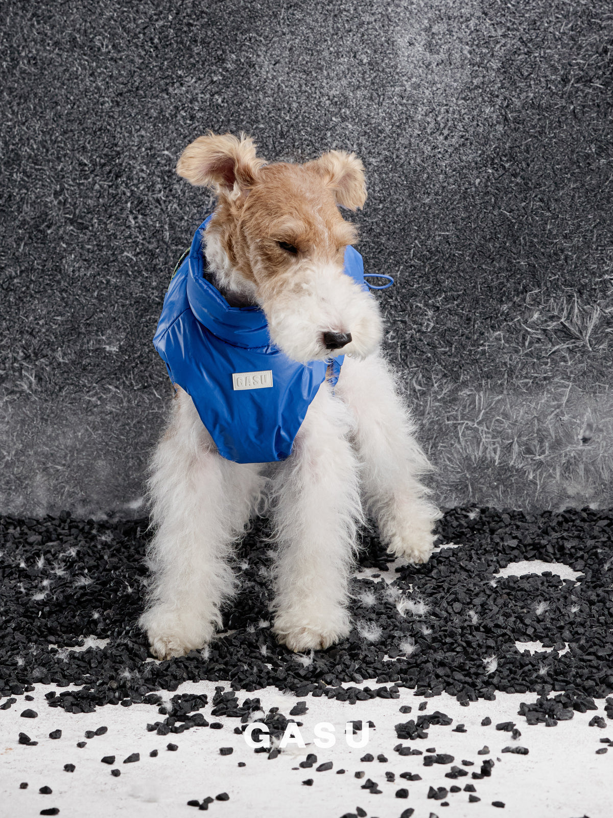 GASU Variété / [Neon Cobalt] Waterproof Reversible Ultra-Light Padded Vest