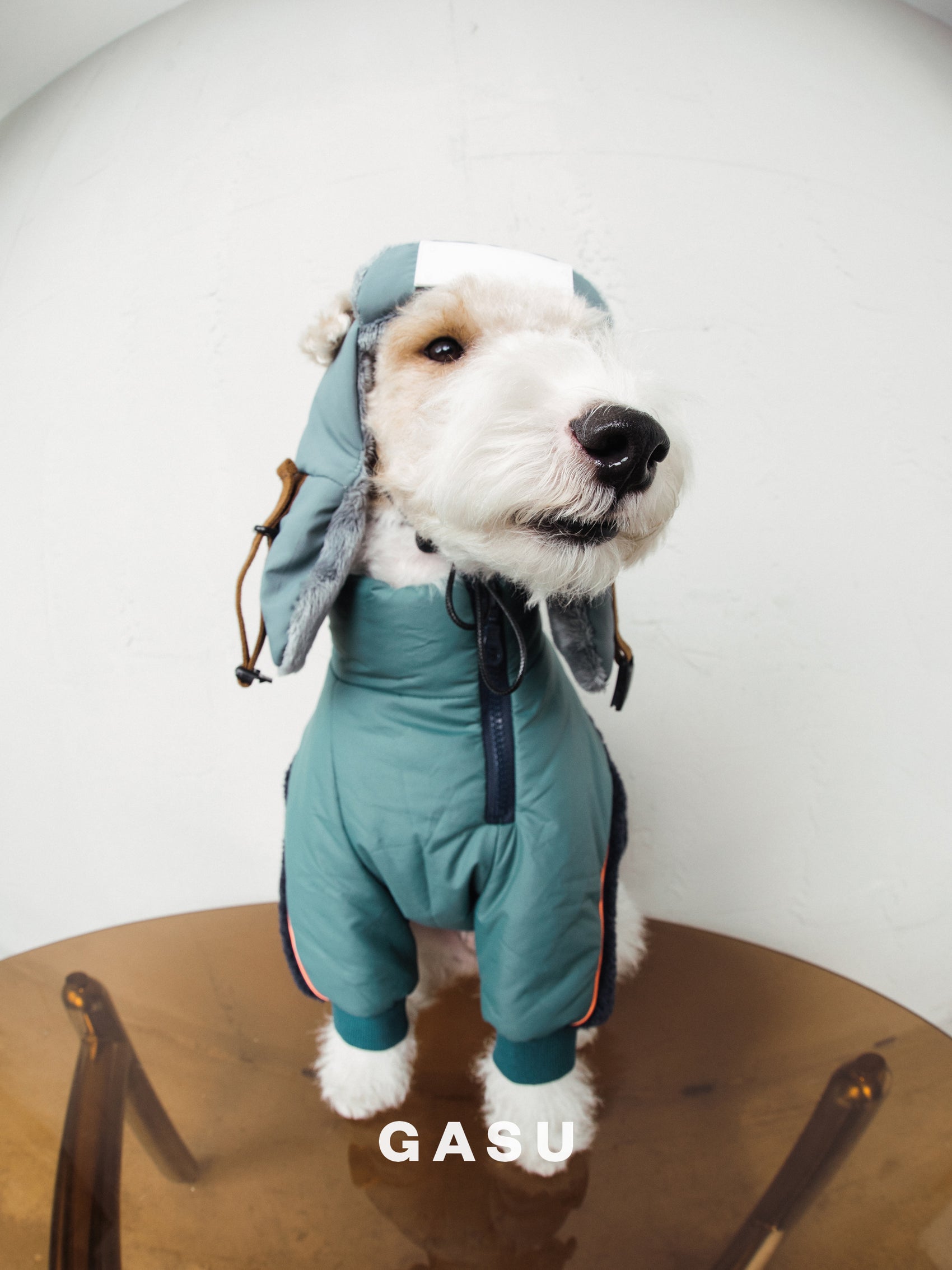 GASU Variété / [3 Colors] 3M Thinsulate™ Warm Fleece Padded 2-Leg Jacket