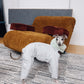 GASU Assembler / [Space Silver] 3M Thinsulate™ Antistatic Down-Feel Ultra-Waterproof Extra-Thick 4-Legged Padded Snowsuit