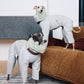 GASU Assembler / [Space Silver] 3M Thinsulate™ Antistatic Down-Feel Ultra-Waterproof Extra-Thick 4-Legged Padded Snowsuit