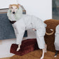 GASU Assembler / [Space Silver] 3M Thinsulate™ Antistatic Down-Feel Ultra-Waterproof Extra-Thick 4-Legged Padded Snowsuit
