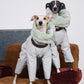 GASU Assembler / [Space Silver] 3M Thinsulate™ Antistatic Down-Feel Ultra-Waterproof Extra-Thick 4-Legged Padded Snowsuit
