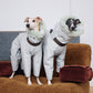 GASU Assembler / [Space Silver] 3M Thinsulate™ Antistatic Down-Feel Ultra-Waterproof Extra-Thick 4-Legged Padded Snowsuit