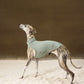 GASU Flâner / [6 Colors] Nude UPF1000+ Cooling Vest