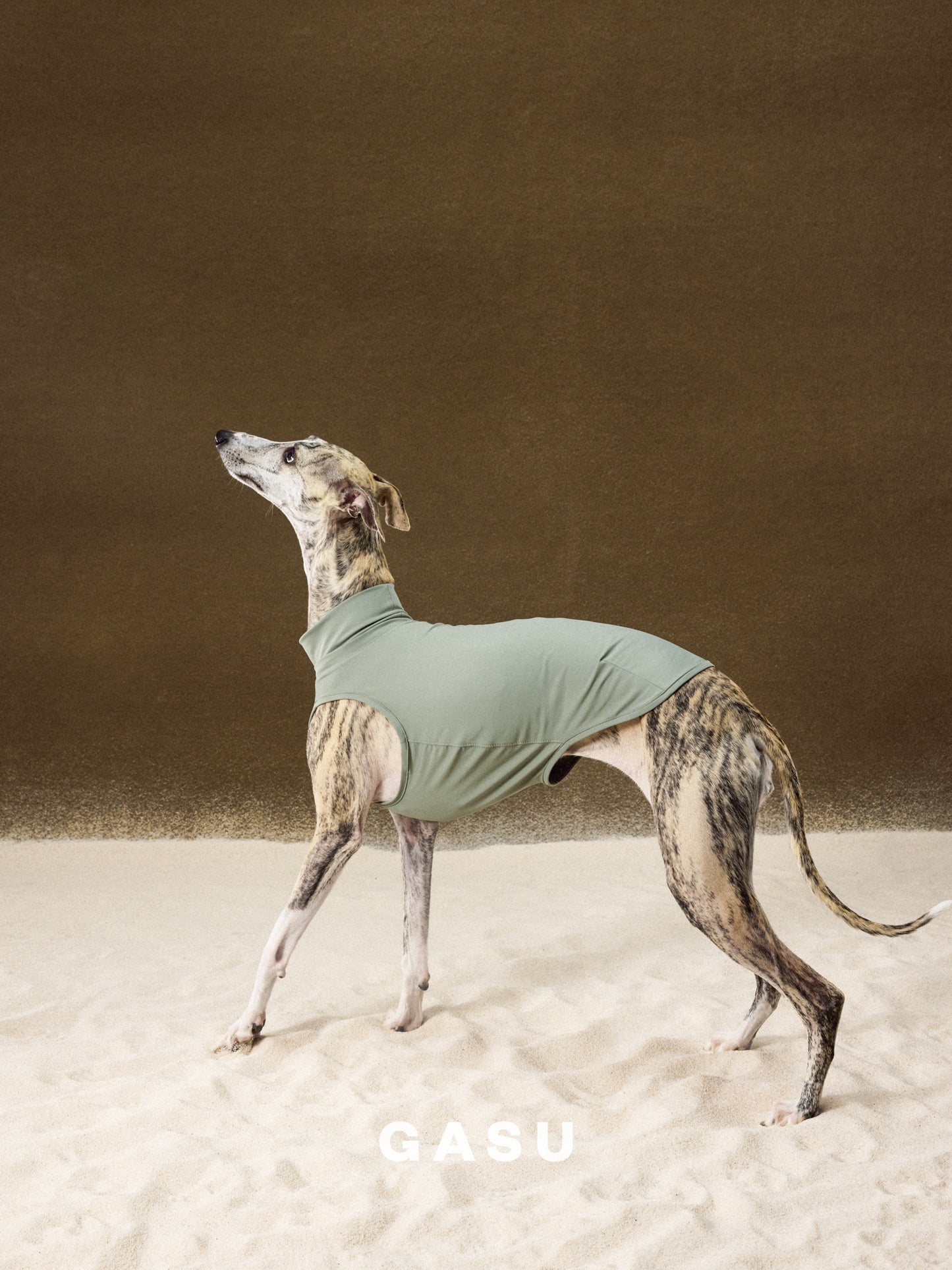GASU Flâner / [6 Colors] Nude UPF1000+ Cooling Vest