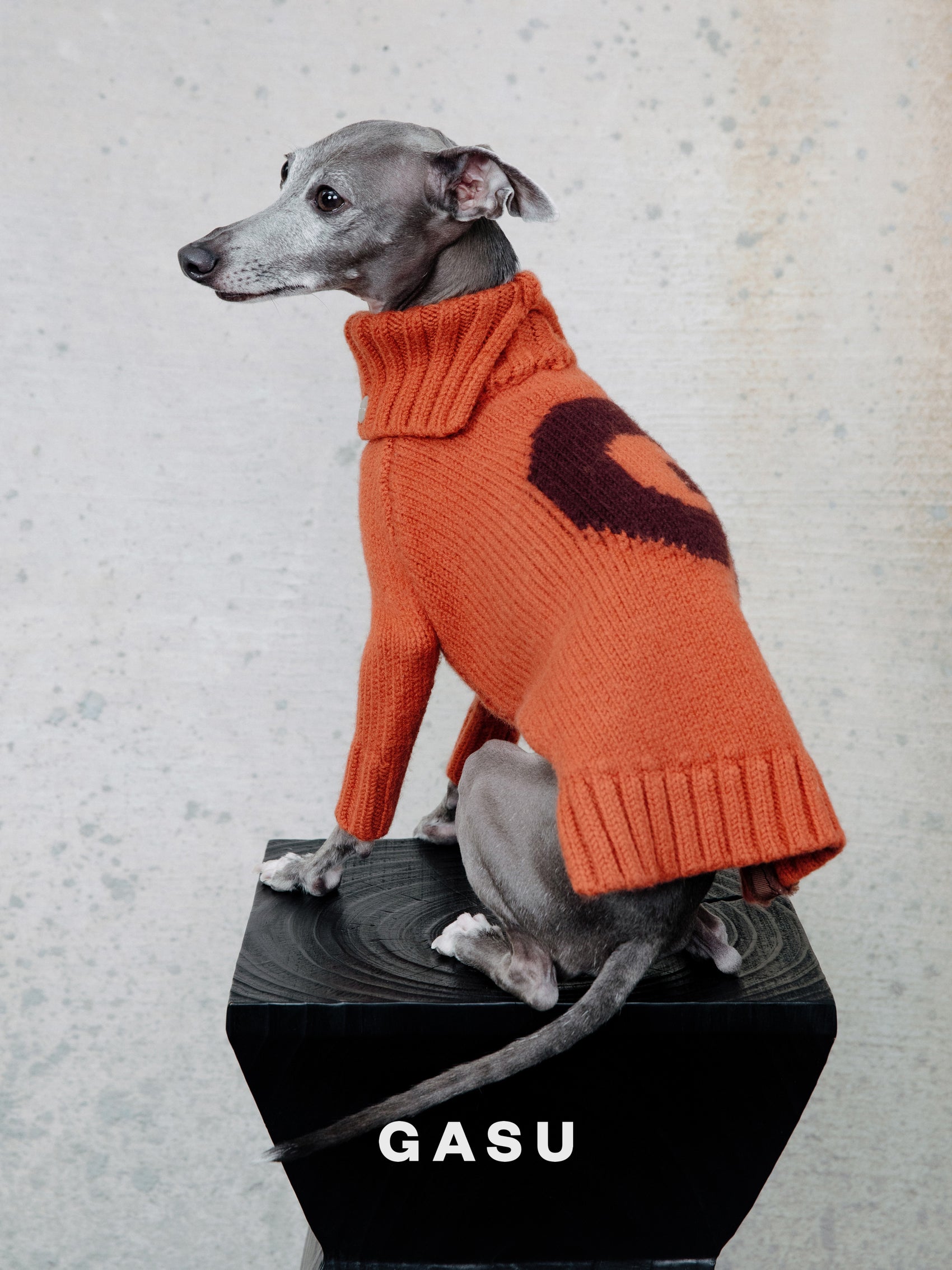 GASU® Svelte / [4 Colors] Vintage Letter Iggy 2-Legged Wool Sweater