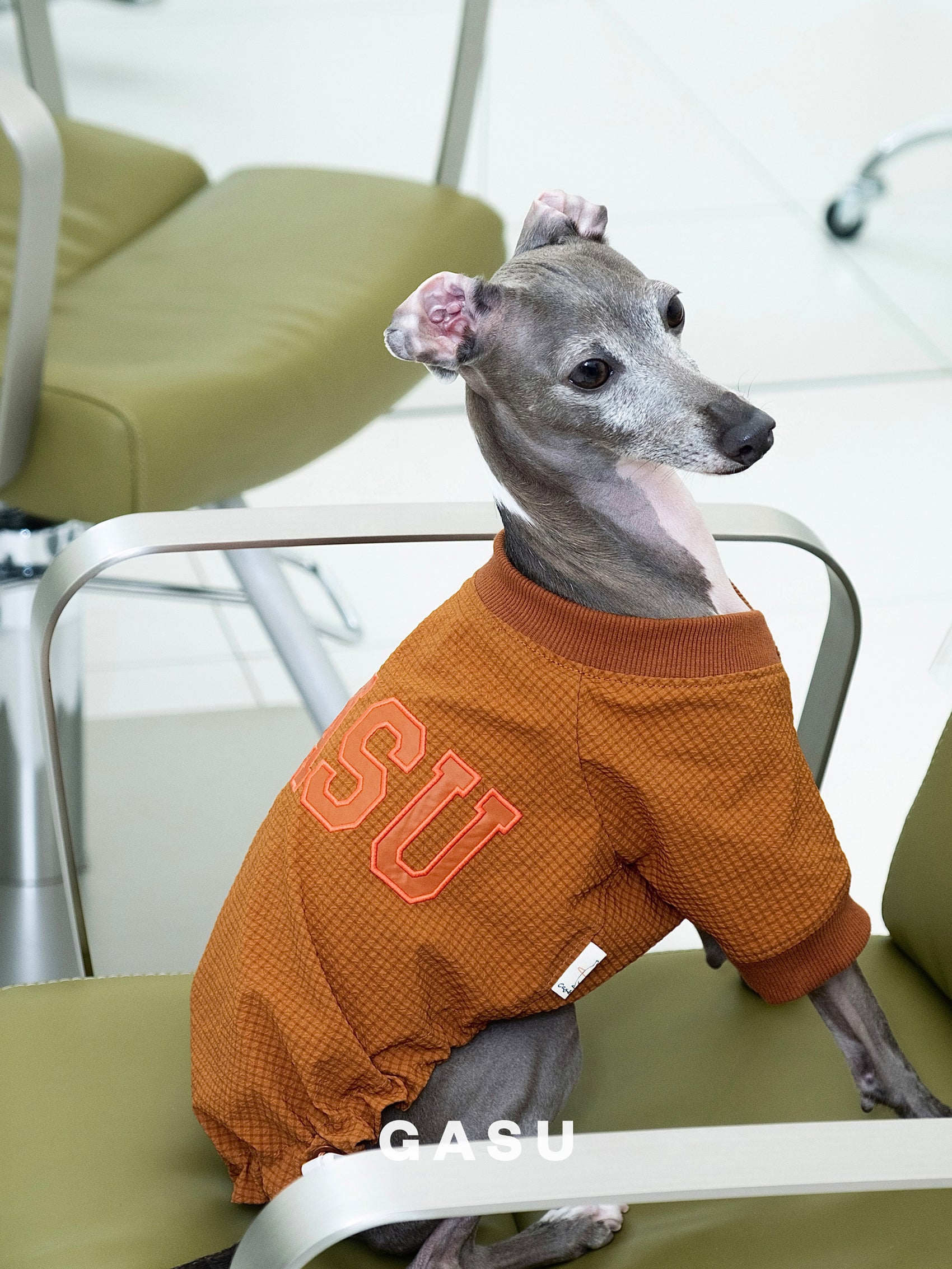 GASU Athlète / [3 Colors] Embroidered Retro Sports Shirt