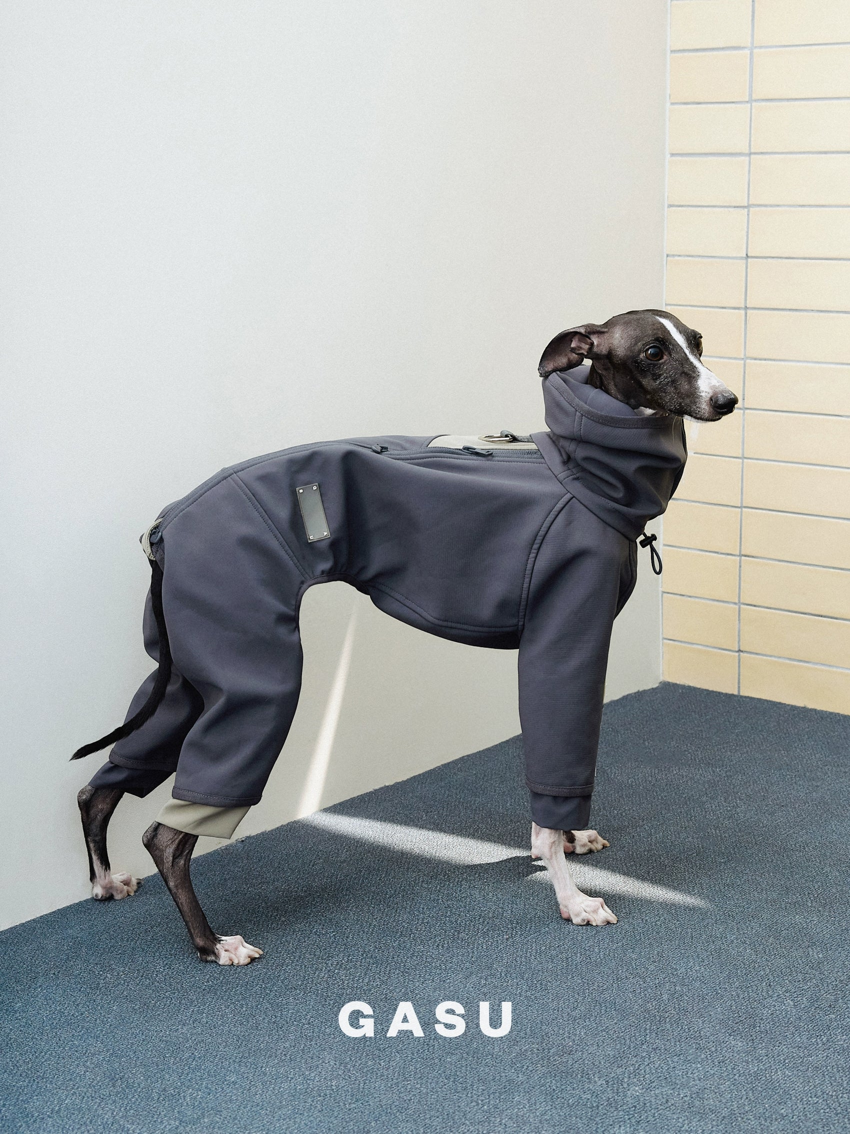 GASU Assembler /  [2 Colors] Waterproof Oilproof Antifouling Fleece-lined Warm Jumpsuit