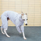 GASU Assembler /  [2 Colors] Waterproof Oilproof Antifouling Fleece-lined Warm Jumpsuit