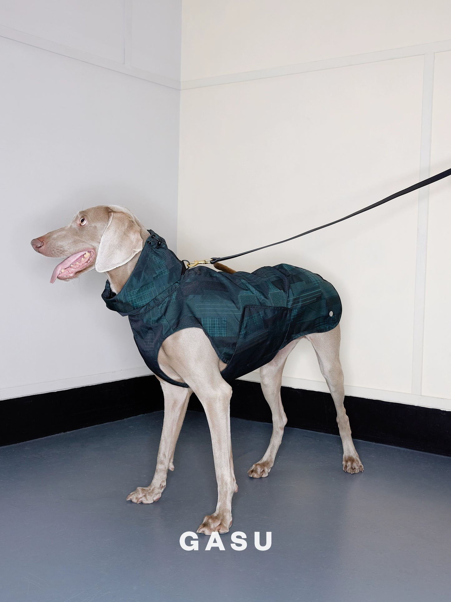 GASU Promener / [Emerald Obsidian] Lightweight Strong Waterproof Raincoat Vest