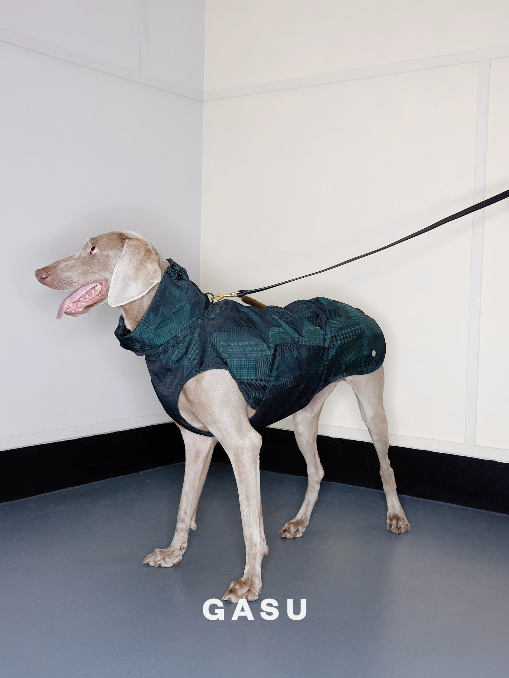 GASU Promener / [Emerald Obsidian] Lightweight Strong Waterproof Raincoat Vest