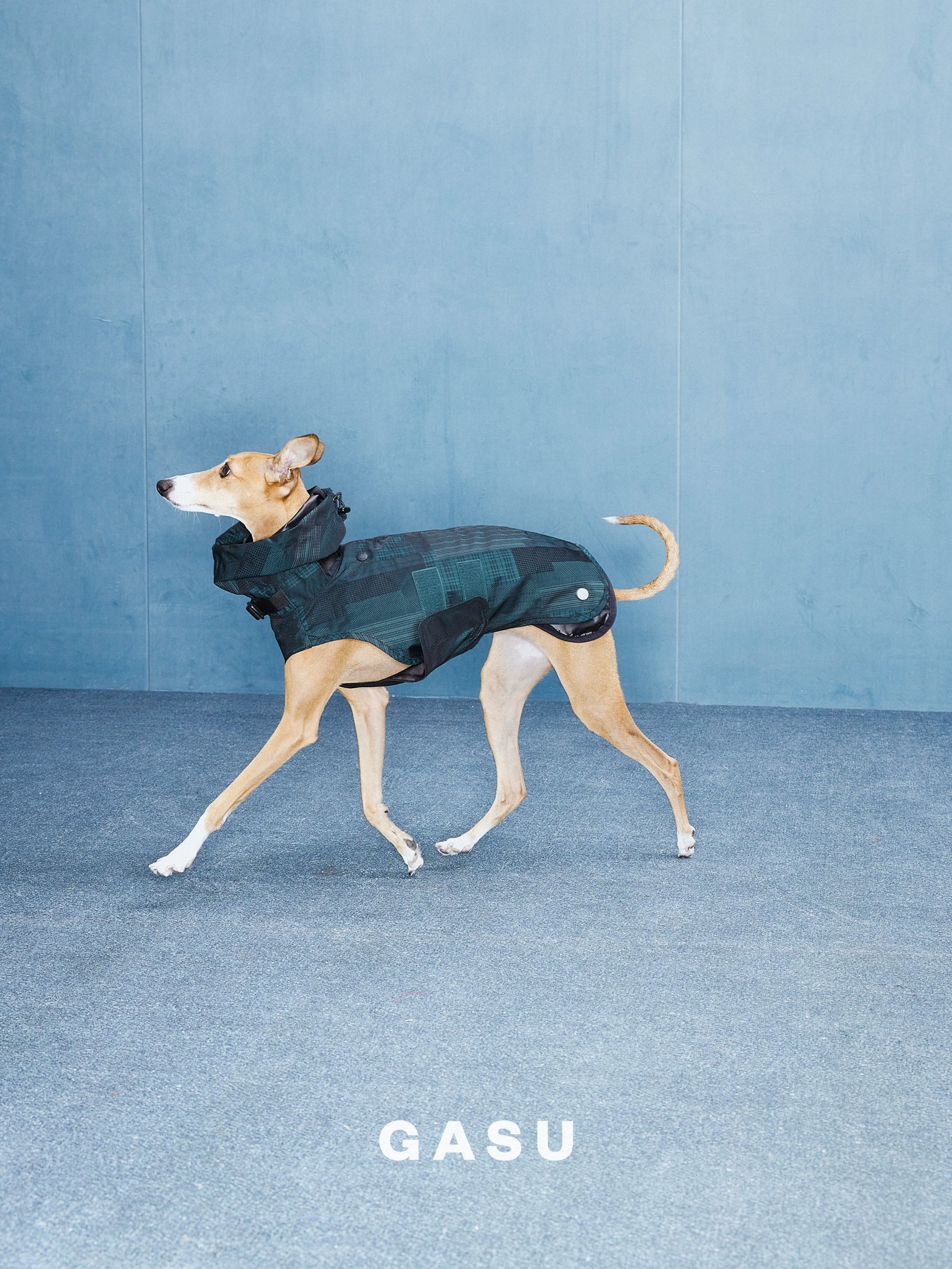 GASU Promener / [Black] 3M Thinsulate™ Antistatic Thermal Strong Waterproof Raincoat Quilted Liner