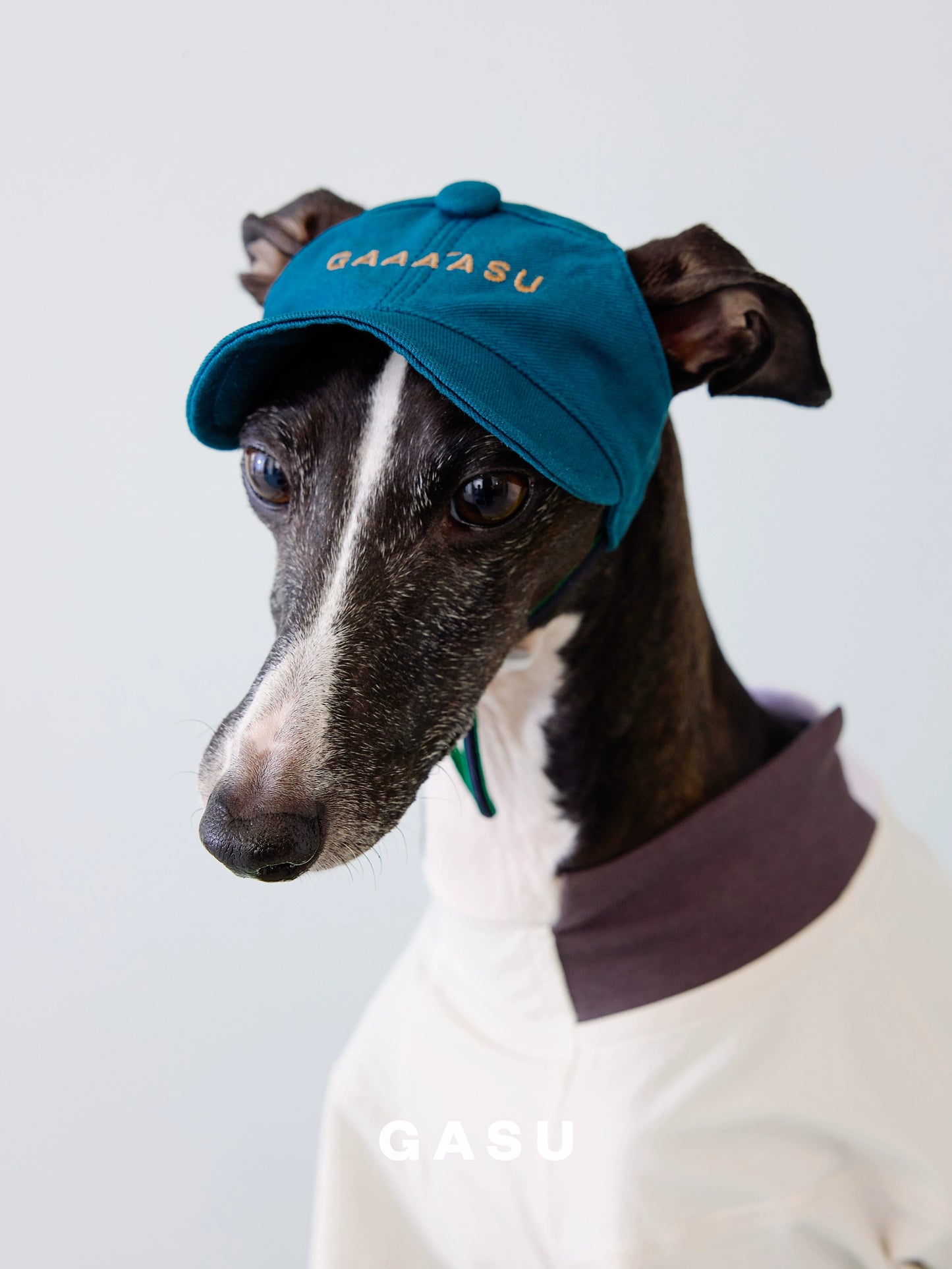 GASU Moi /  [4 Colors] Small Letters Embroidered Pet & Human Sunshade Baseball Cap