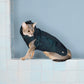 GASU Promener / [Emerald Obsidian] Lightweight Strong Waterproof Raincoat Vest