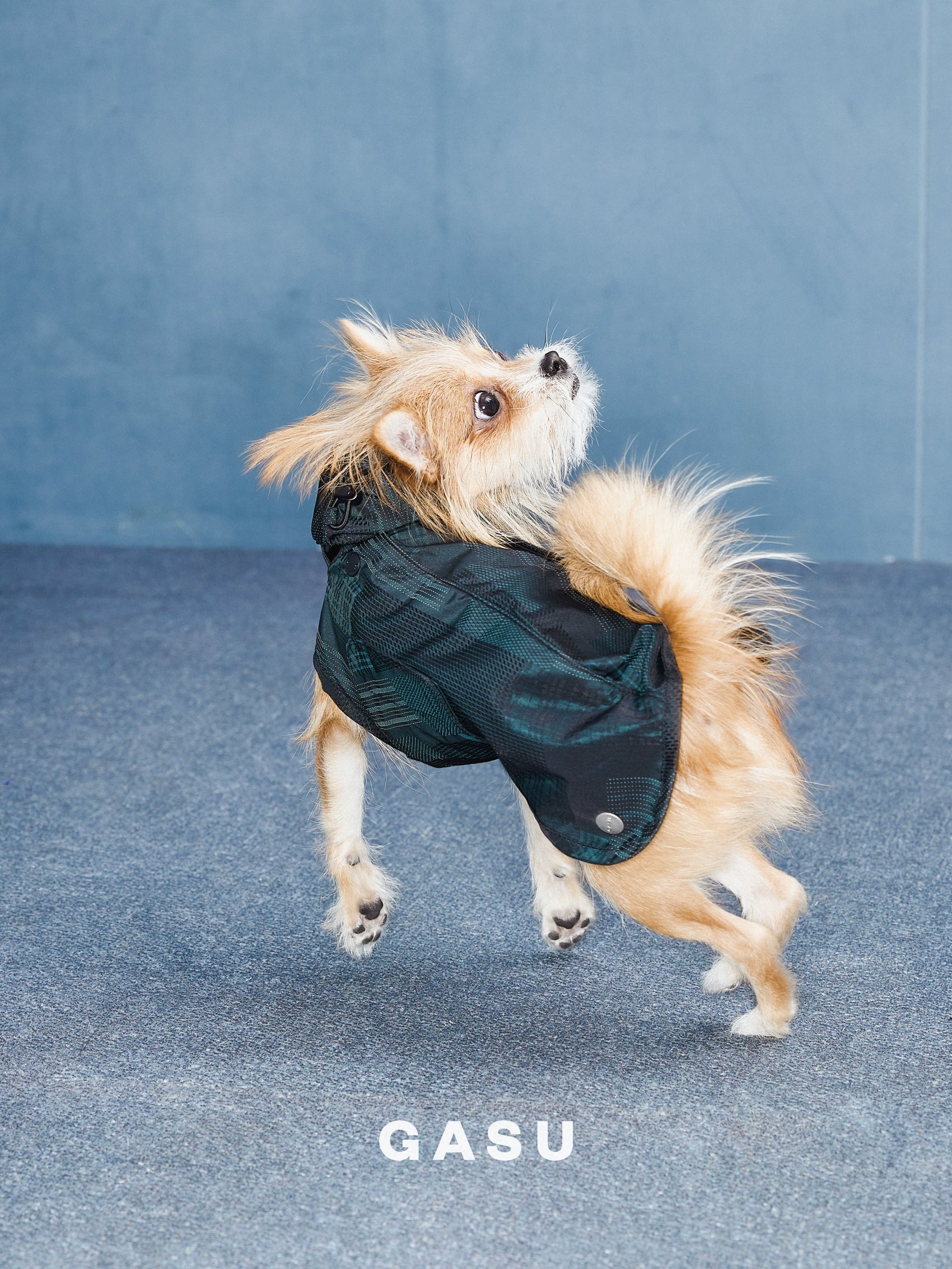 GASU Promener / [Emerald Obsidian] Lightweight Strong Waterproof Raincoat Vest