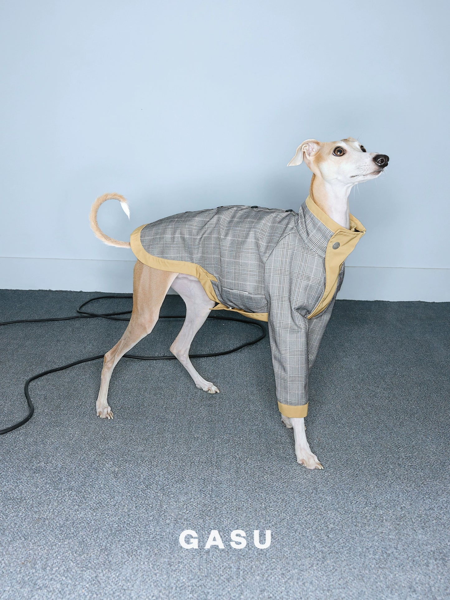 GASU Variété / [2 Colors] Reversible Waterproof Trench Coat