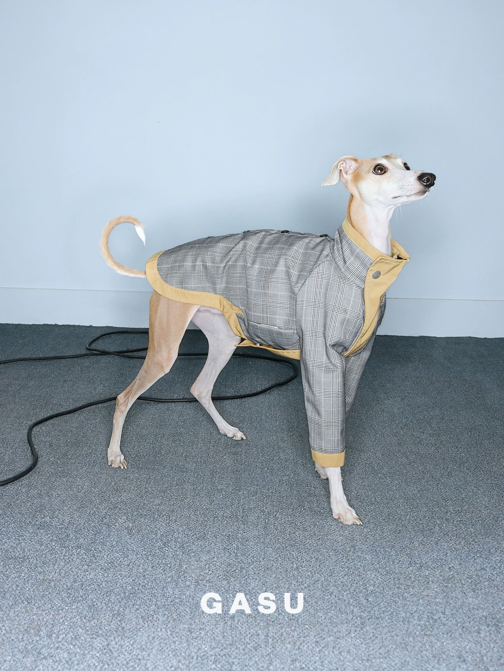 GASU Variété / [2 Colors] Reversible Waterproof Trench Coat