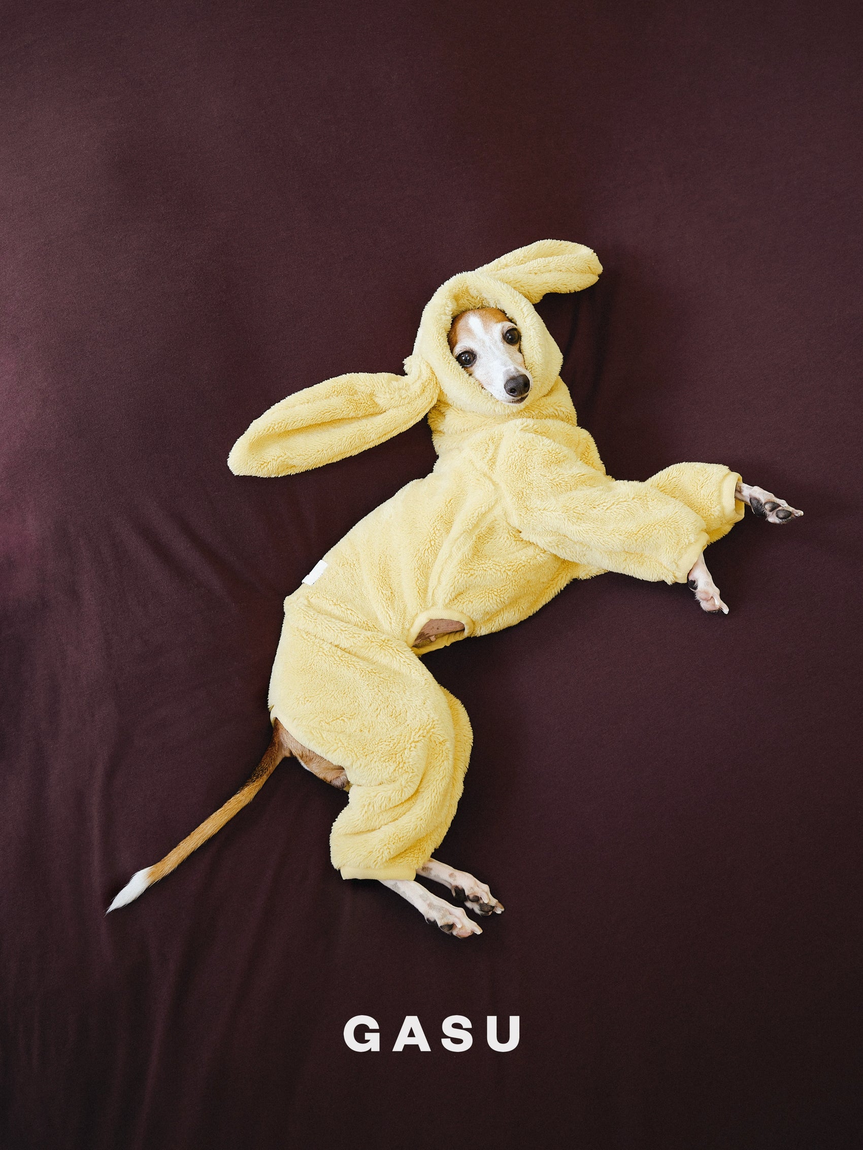 GASU Moi / [5 Colors] Detachable Bunny Ears Strong Conductive Fibers Jumpsuit