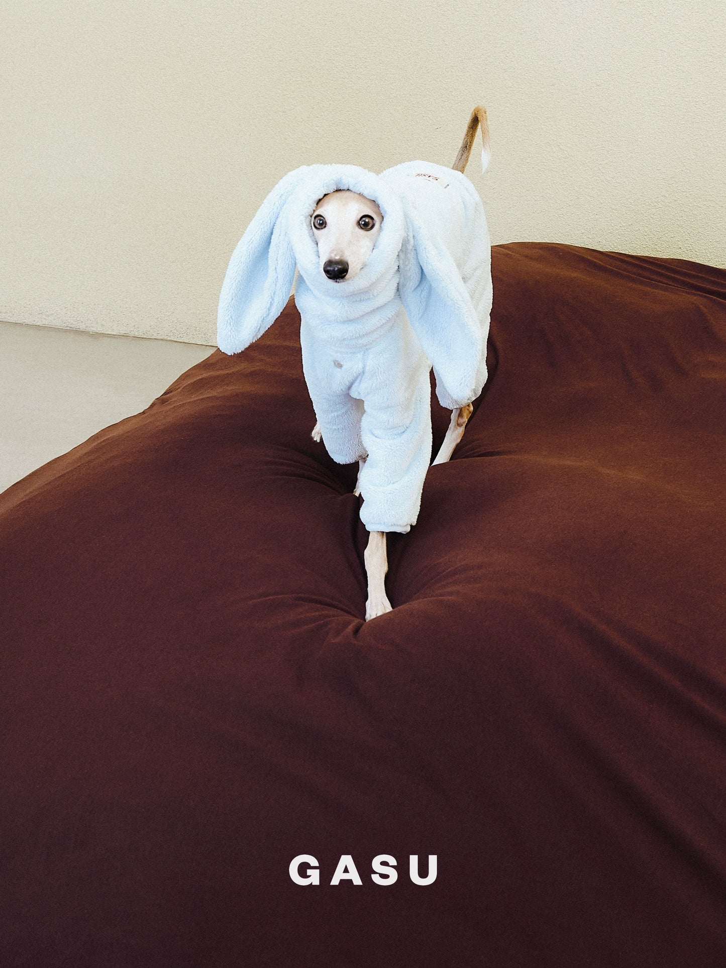 GASU Moi / [5 Colors] Detachable Bunny Ears Strong Conductive Fibers Jumpsuit