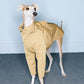 GASU Variété / [2 Colors] Reversible Waterproof Trench Coat