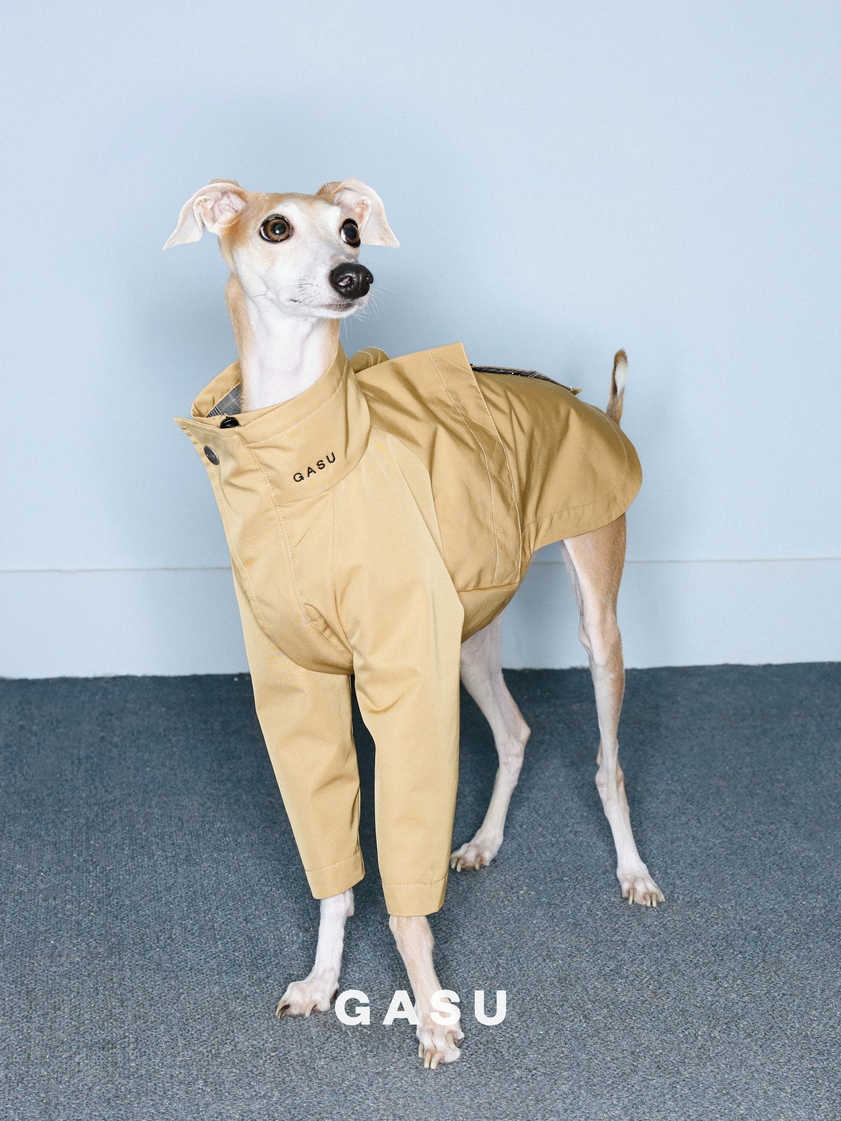 GASU Variété / [2 Colors] Reversible Waterproof Trench Coat