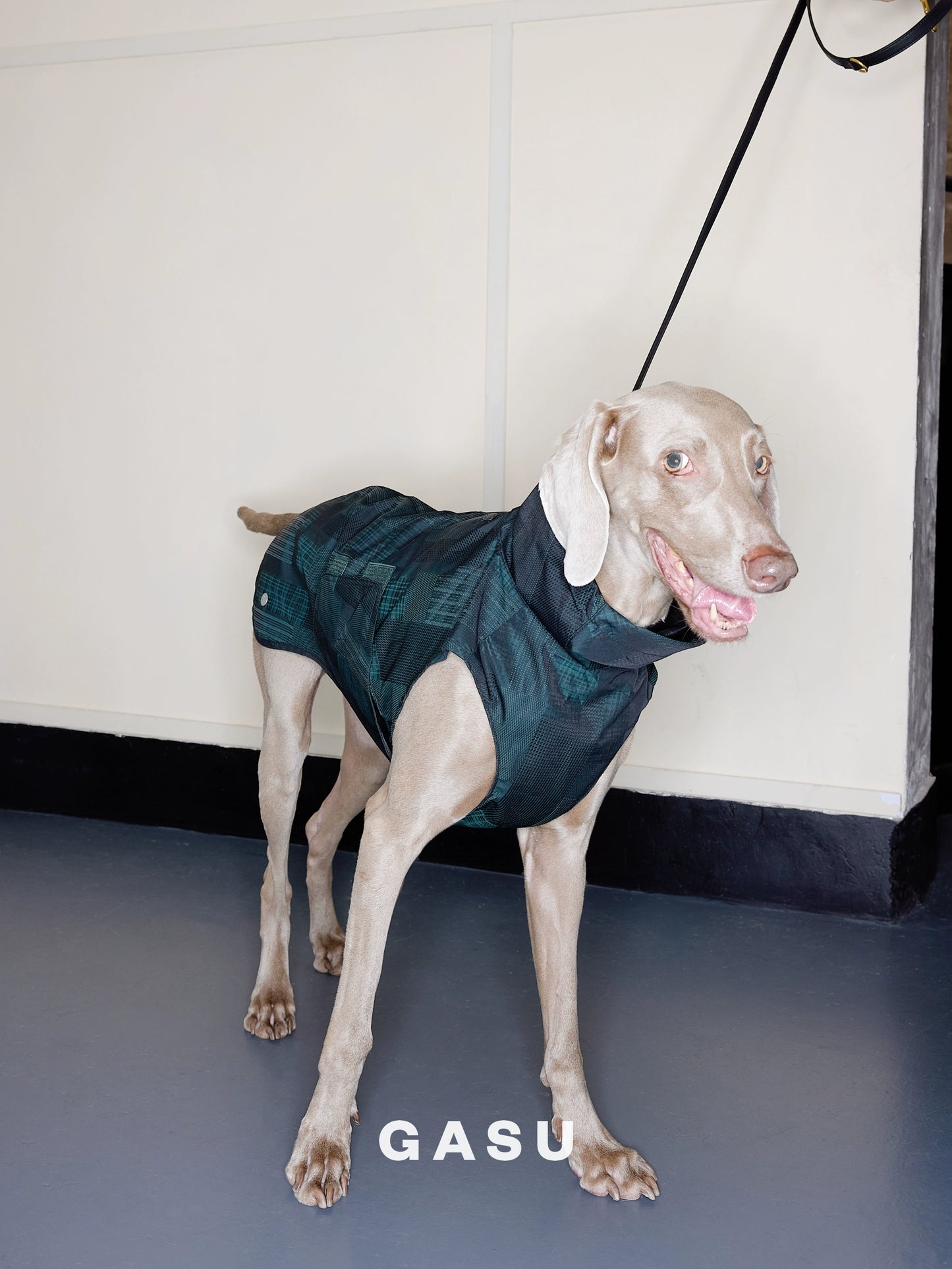 GASU Promener / [Emerald Obsidian] Lightweight Strong Waterproof Raincoat Vest