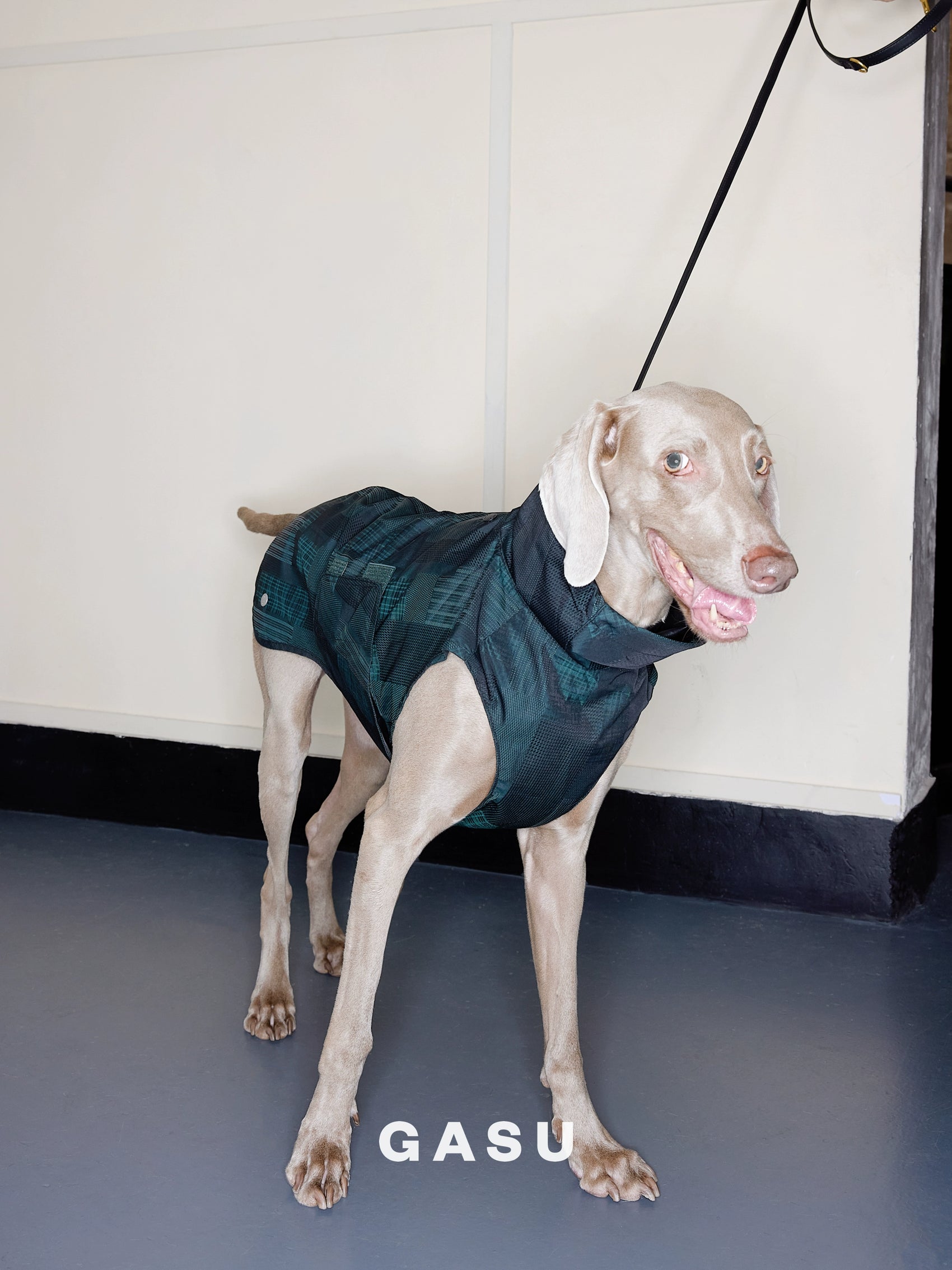 GASU Promener / [Emerald Obsidian] Lightweight Strong Waterproof Raincoat Vest