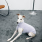 GASU® Flâner / [11 Colors] Anti-static Warm Tight Elastic Belly-protecting Vest