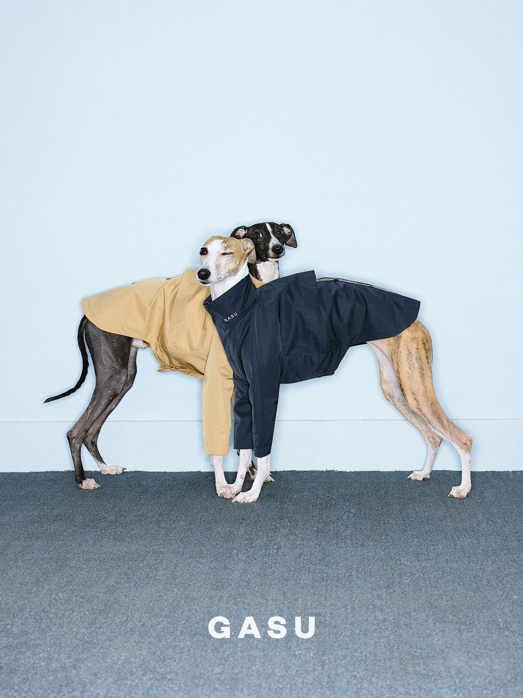 GASU Variété / [2 Colors] Reversible Waterproof Trench Coat