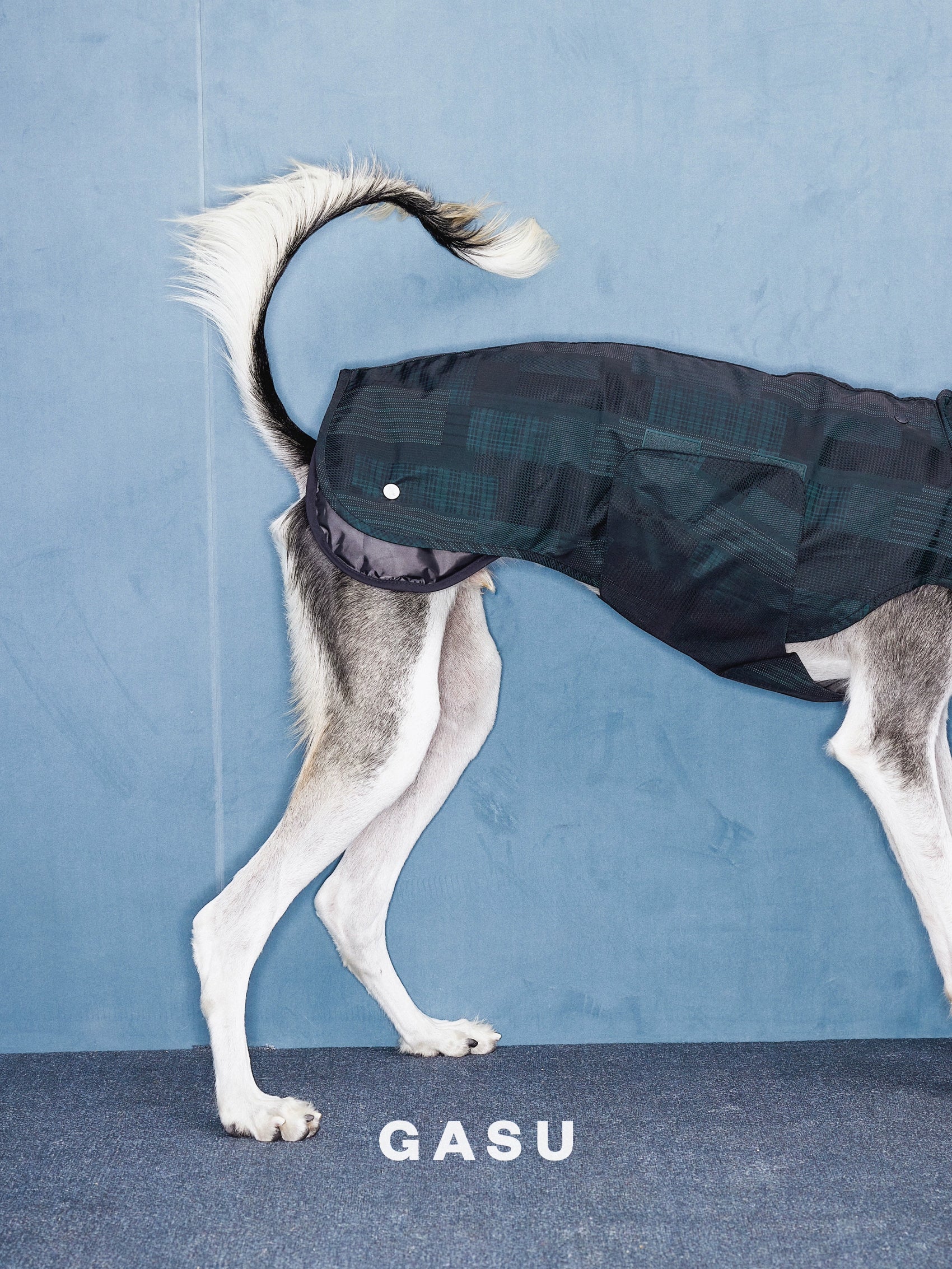GASU Promener / [Black] 3M Thinsulate™ Antistatic Thermal Strong Waterproof Raincoat Quilted Liner
