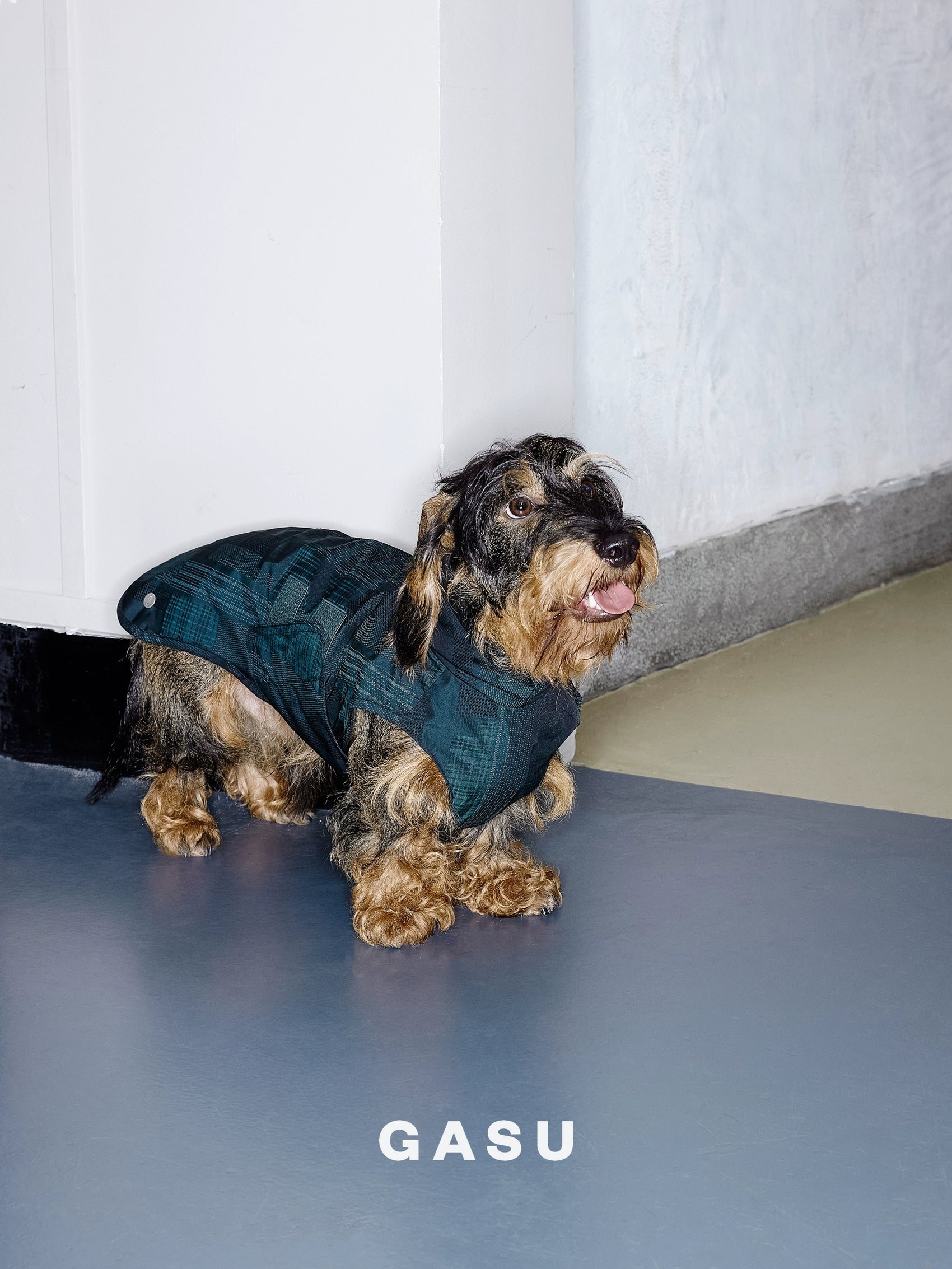 GASU Promener / [Emerald Obsidian] Lightweight Strong Waterproof Raincoat Vest