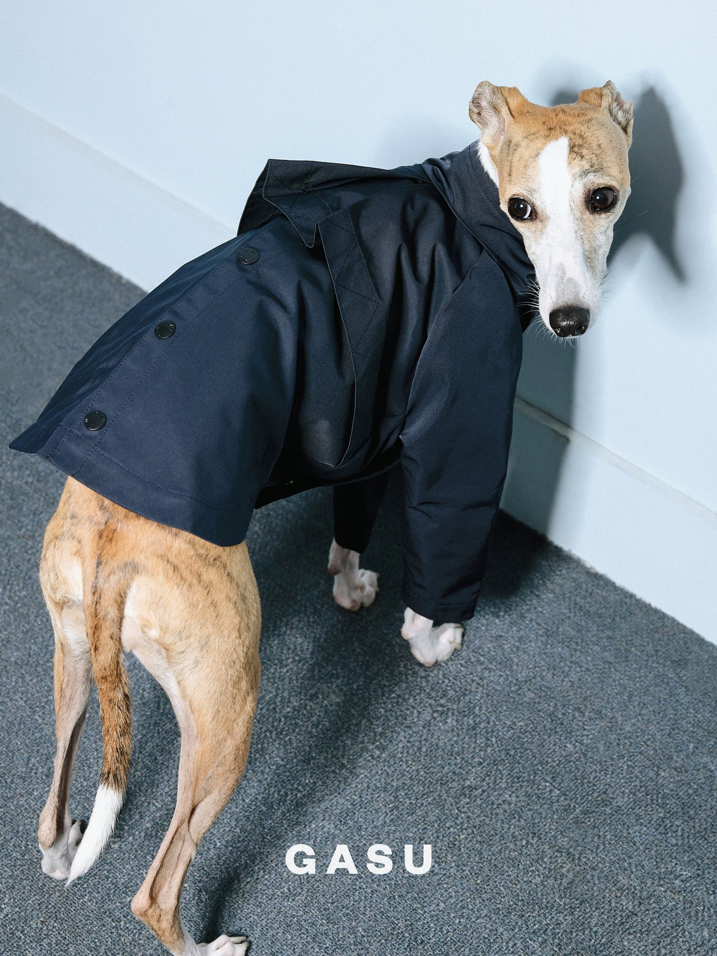 GASU Variété / [2 Colors] Reversible Waterproof Trench Coat